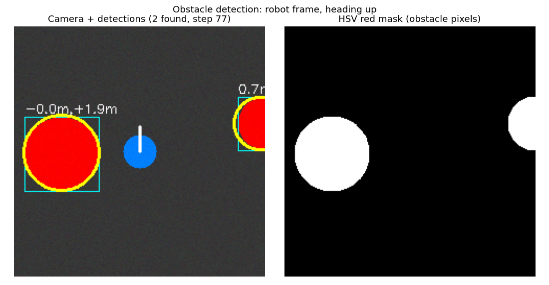 Camera view with obstacle detections and red mask