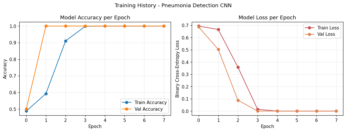 Training Curves
